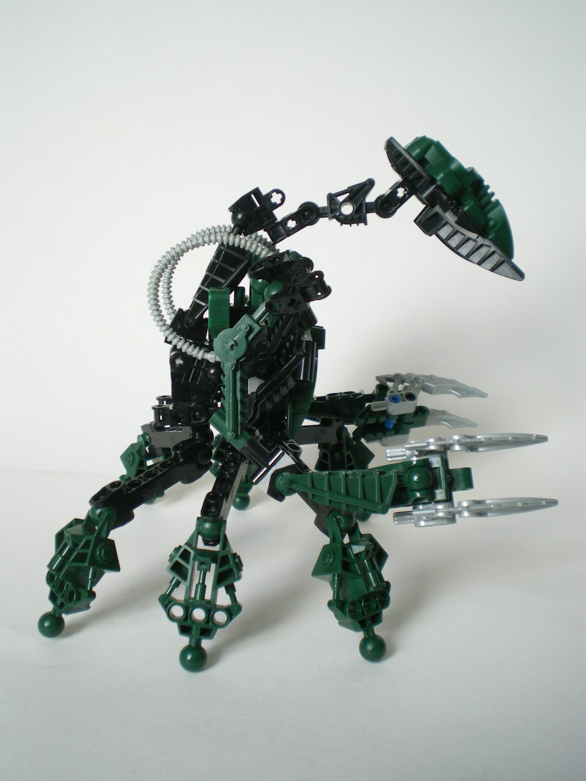 imgp3999.jpg