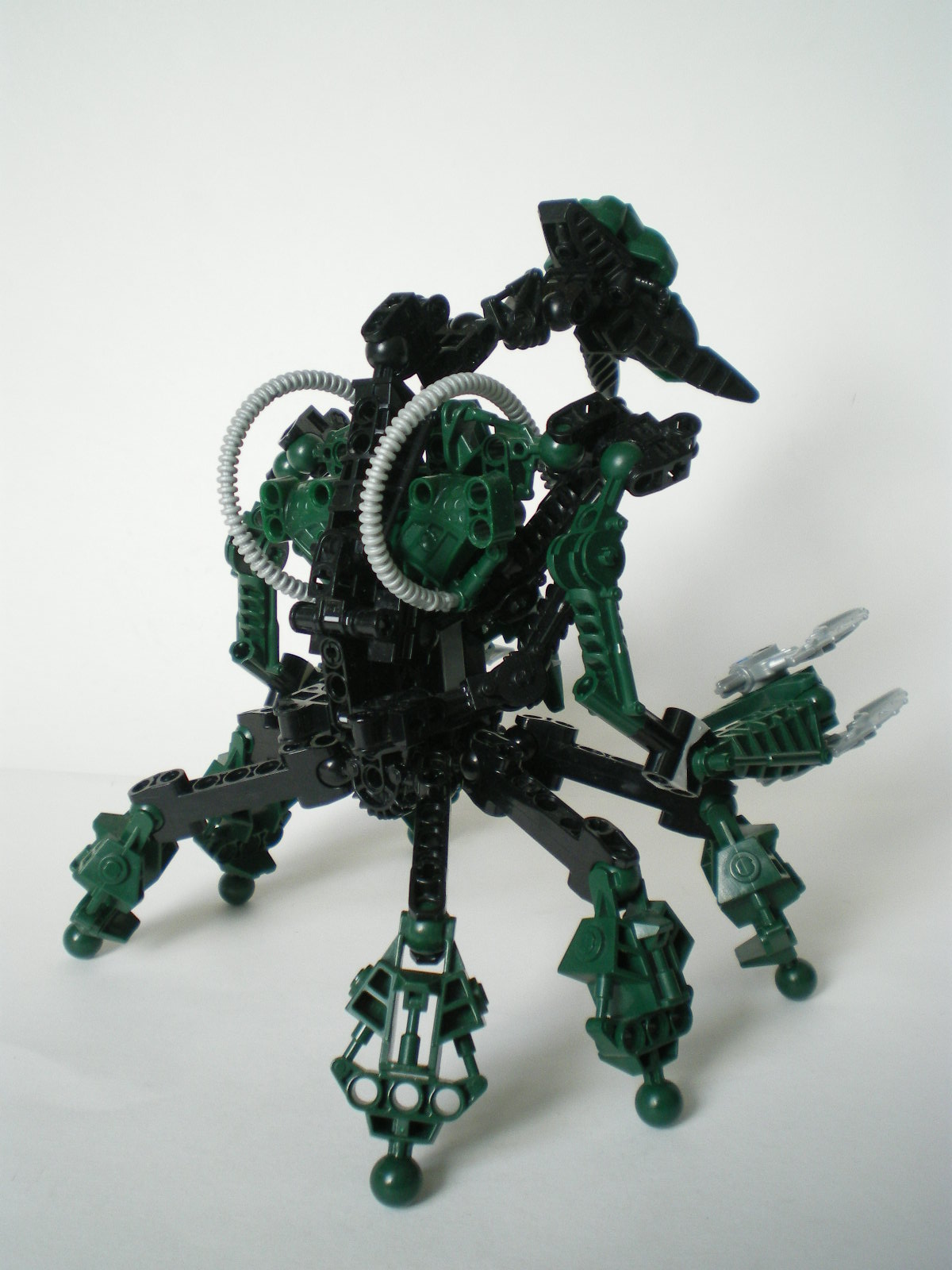 imgp4000.jpg