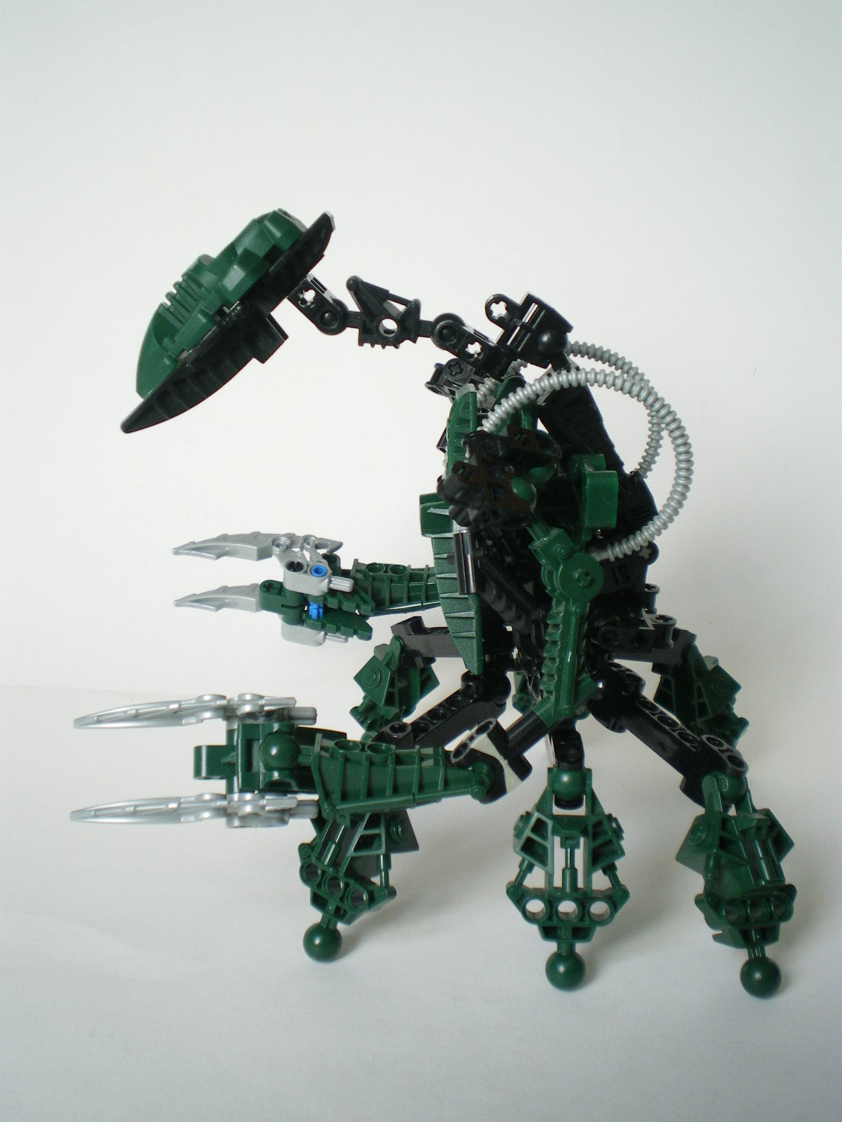 imgp4003.jpg