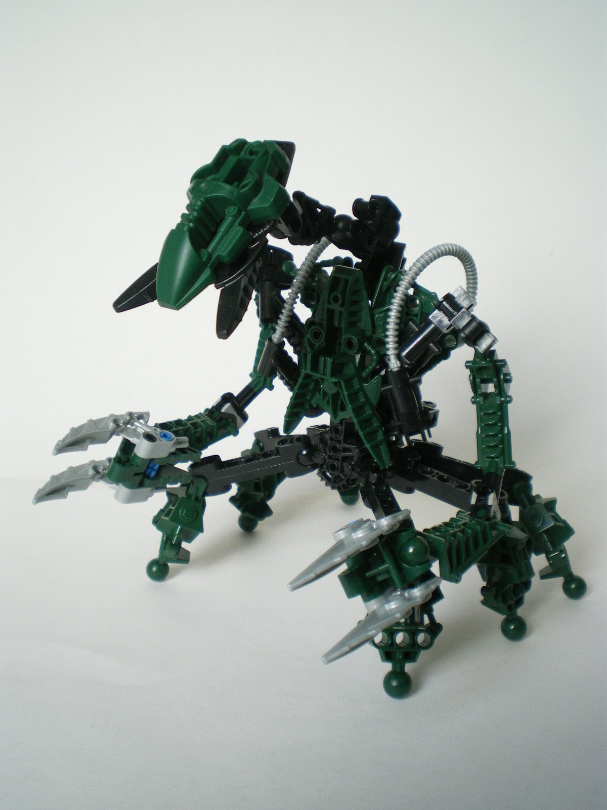 imgp4004.jpg