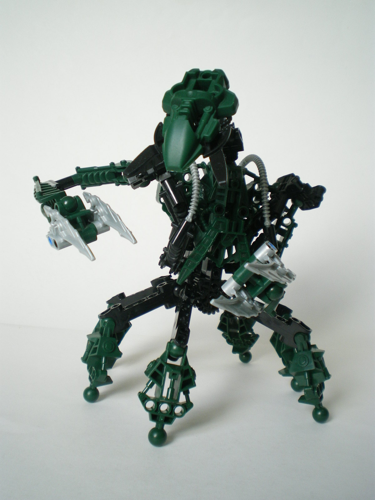imgp4005.jpg