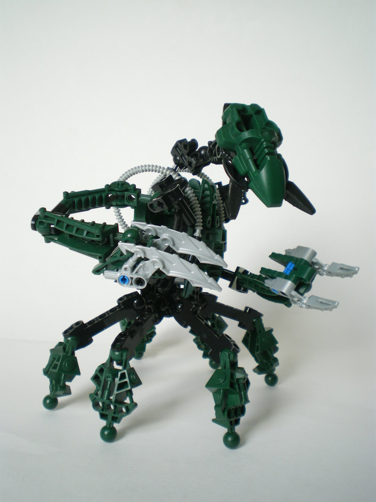 imgp4006.jpg