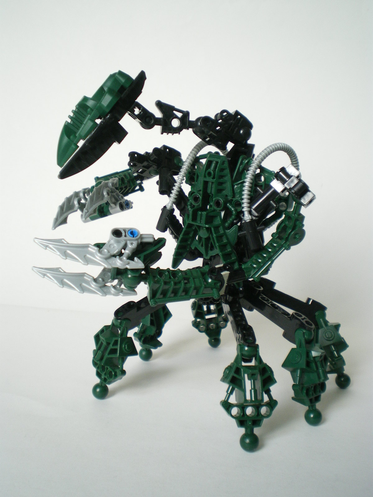 imgp4007.jpg