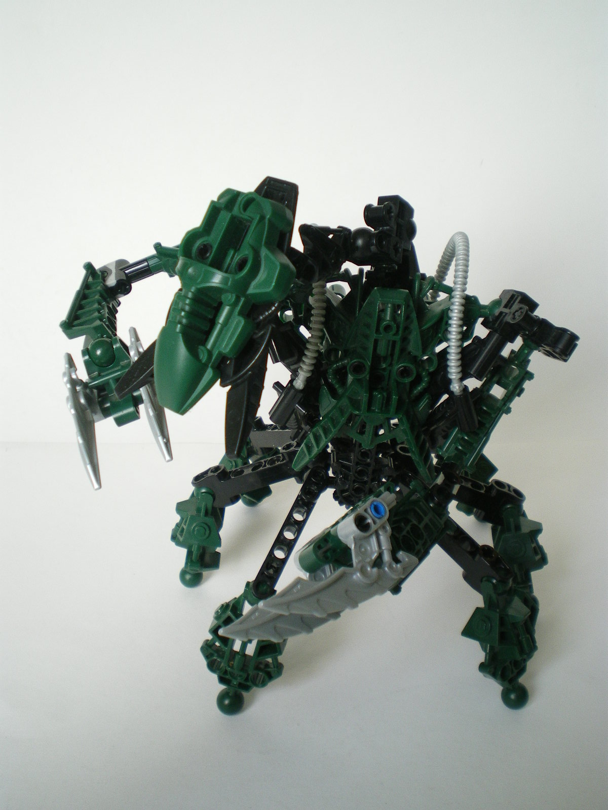 imgp4008.jpg