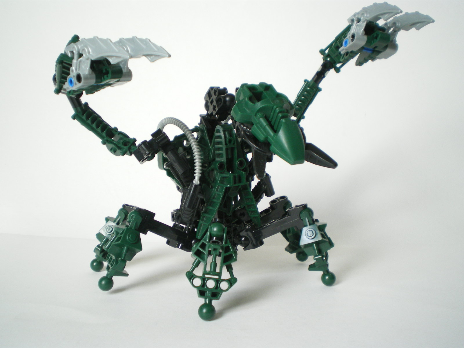 imgp4009.jpg