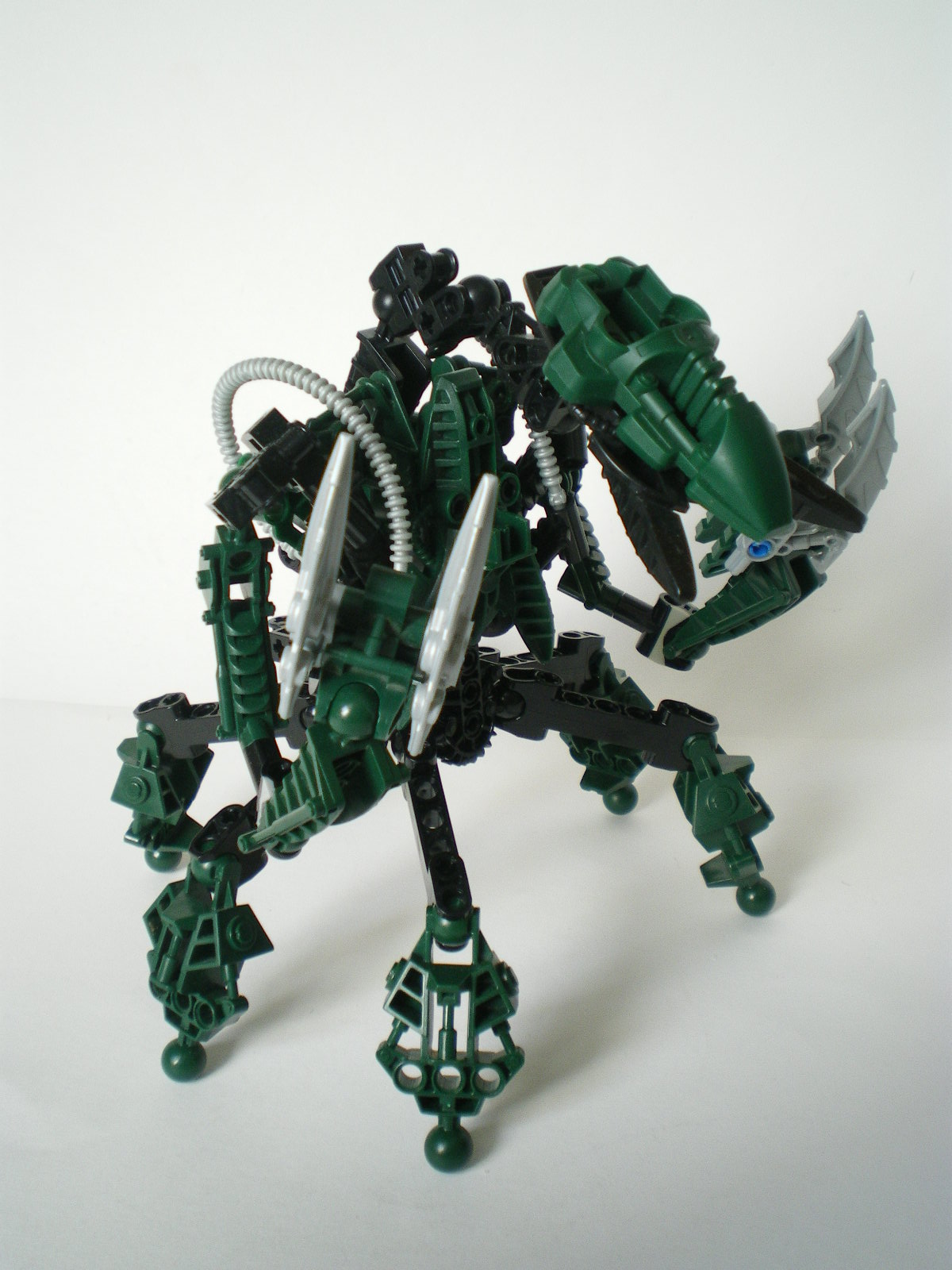 imgp4012.jpg