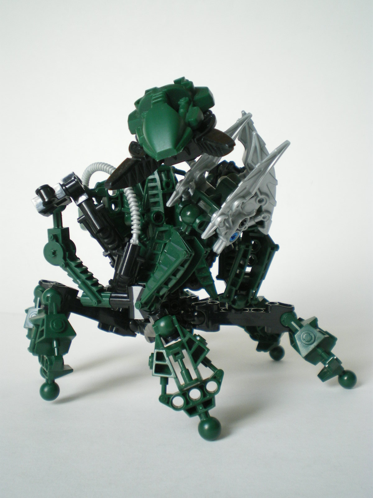imgp4017.jpg