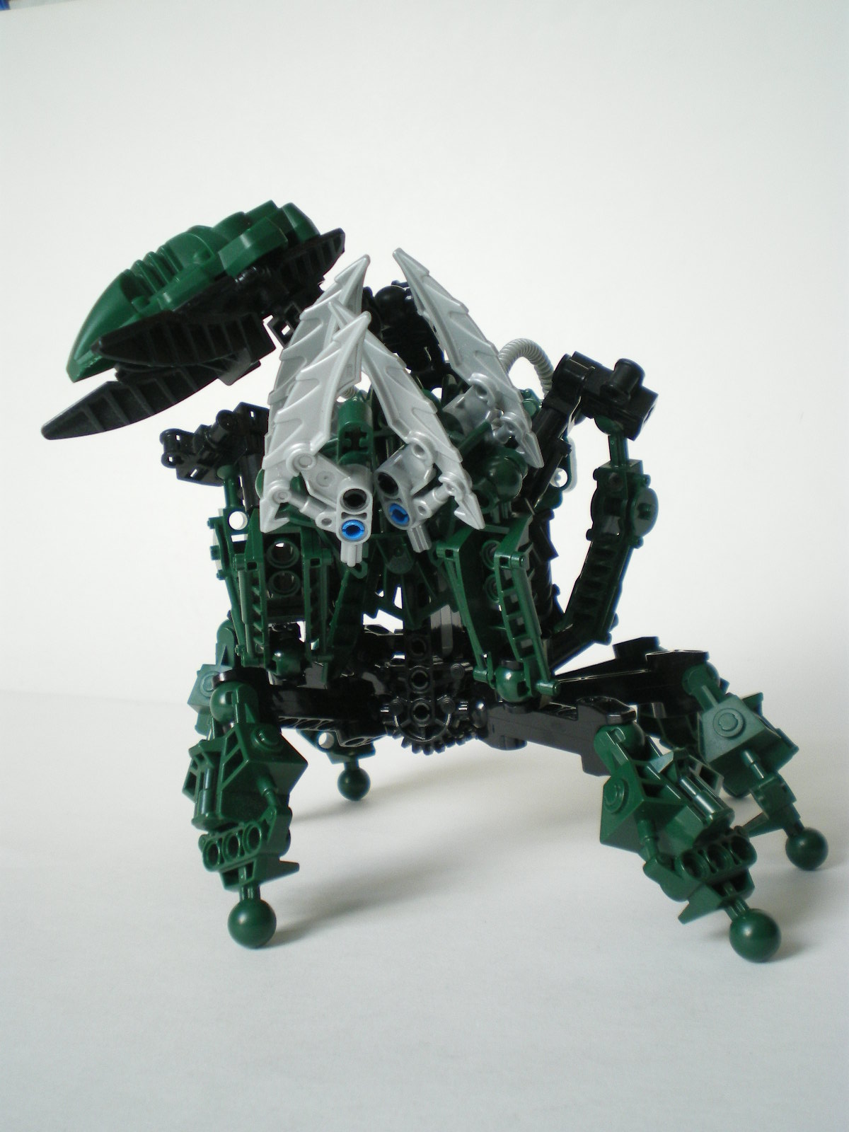 imgp4018.jpg