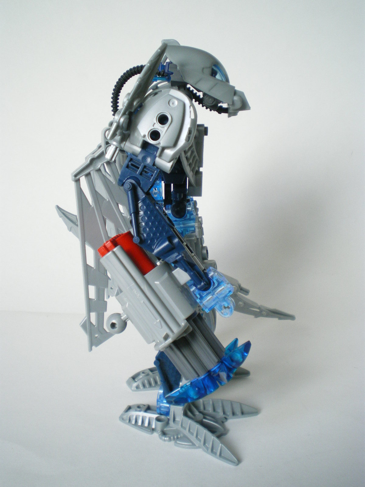 imgp4044.jpg