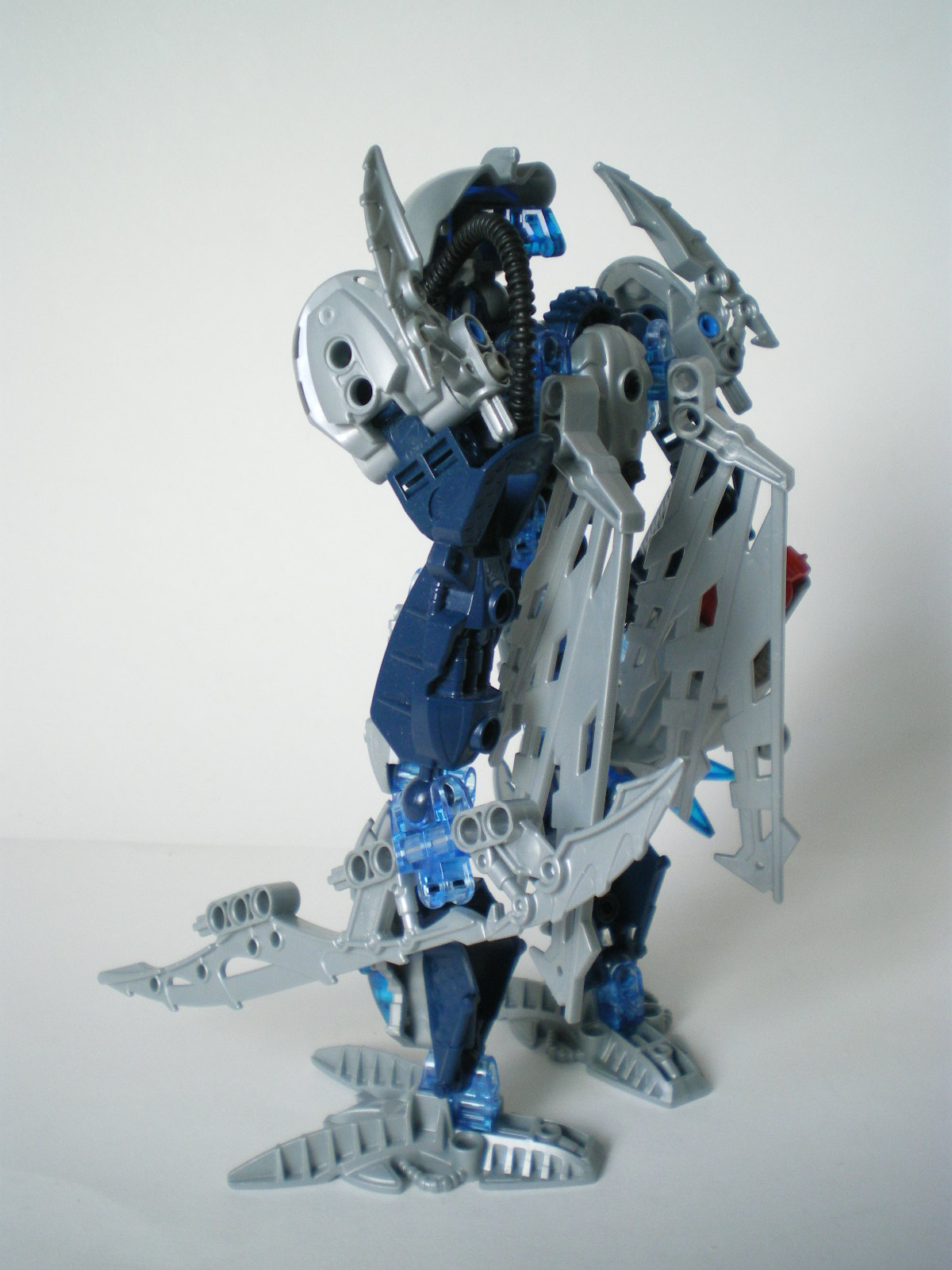 imgp4047.jpg