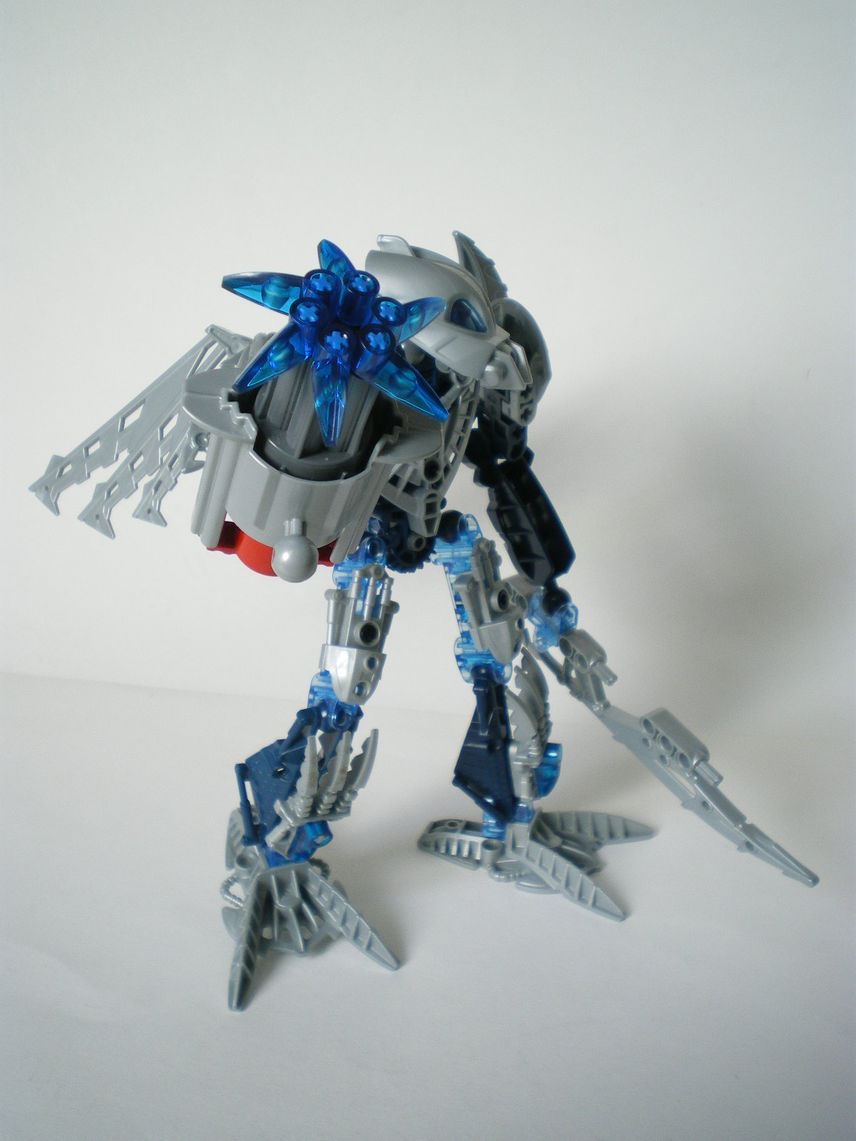imgp4060.jpg
