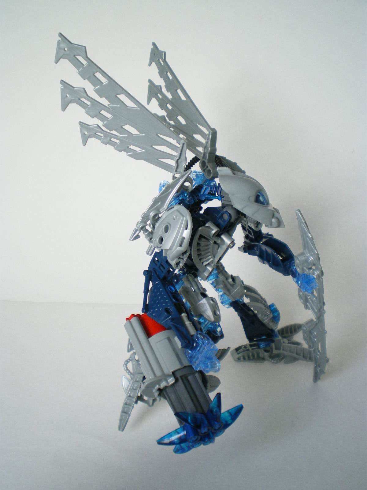 imgp4071.jpg