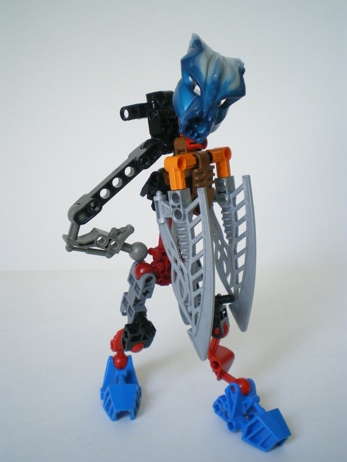 imgp4416.jpg