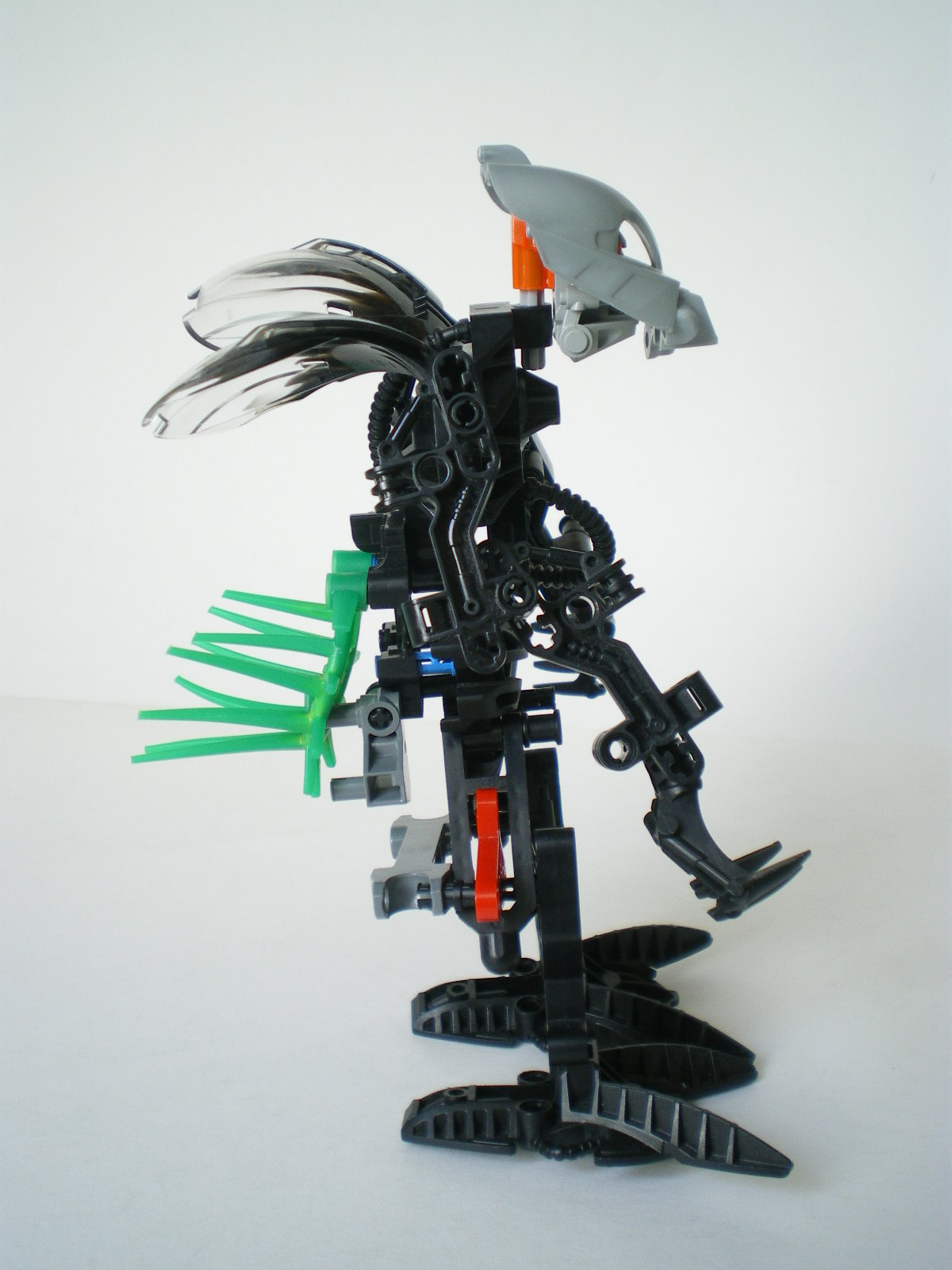 imgp4505.jpg