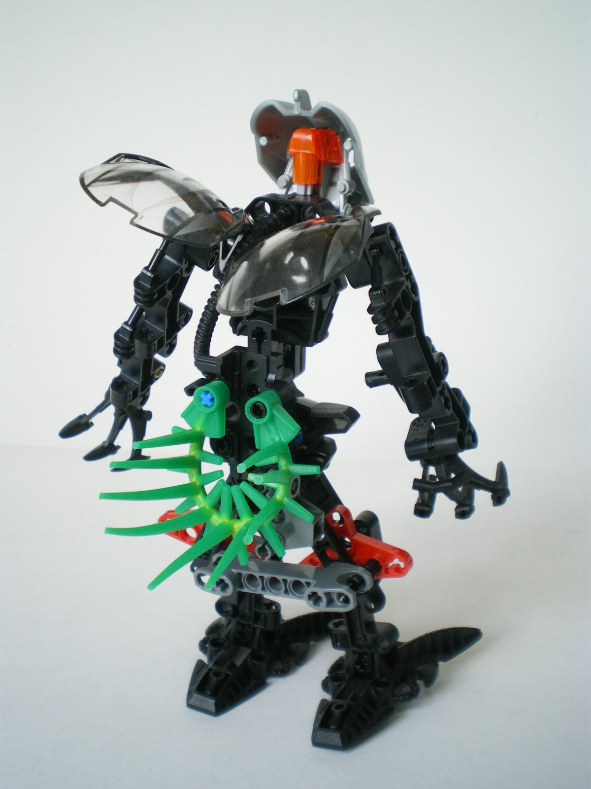 imgp4506.jpg
