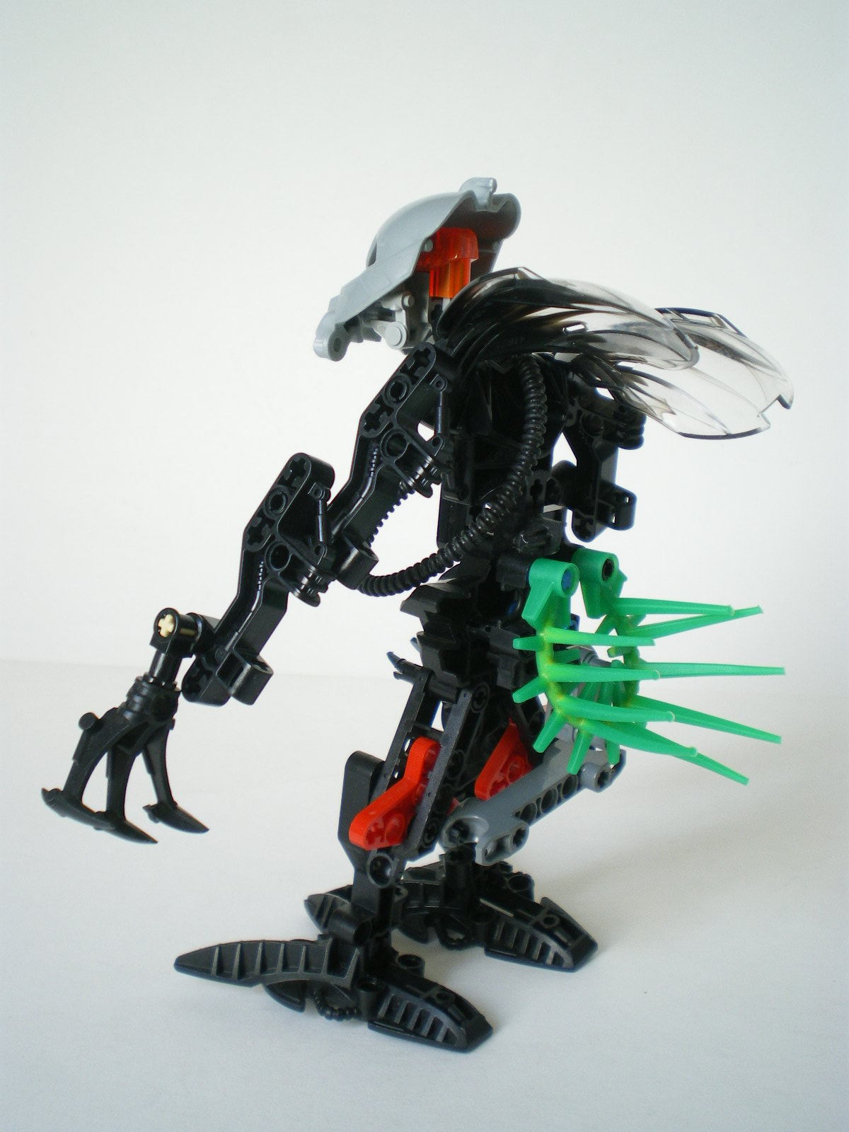 imgp4508.jpg