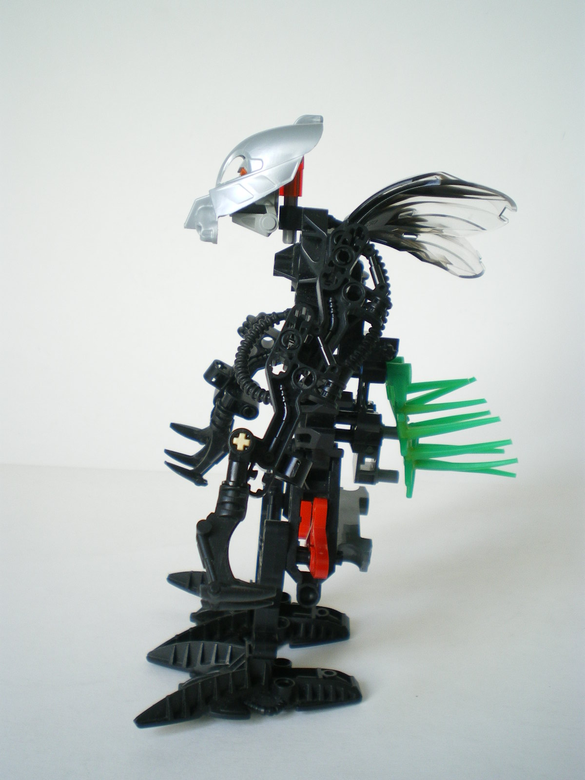 imgp4509.jpg