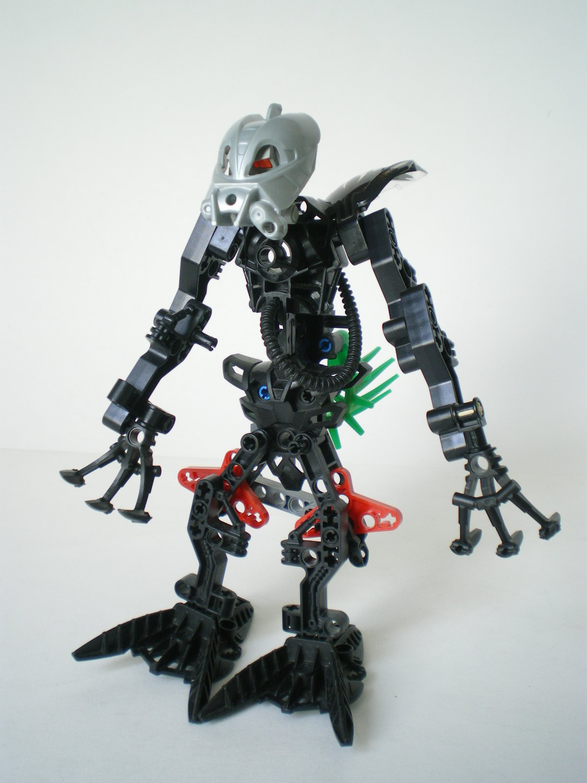 imgp4510.jpg