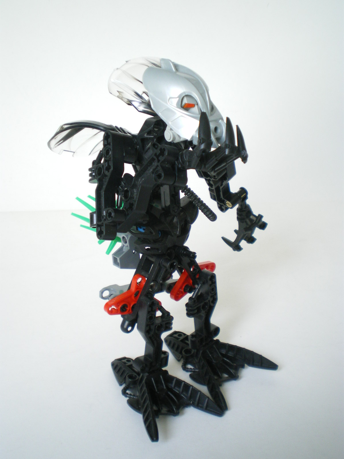 imgp4511.jpg