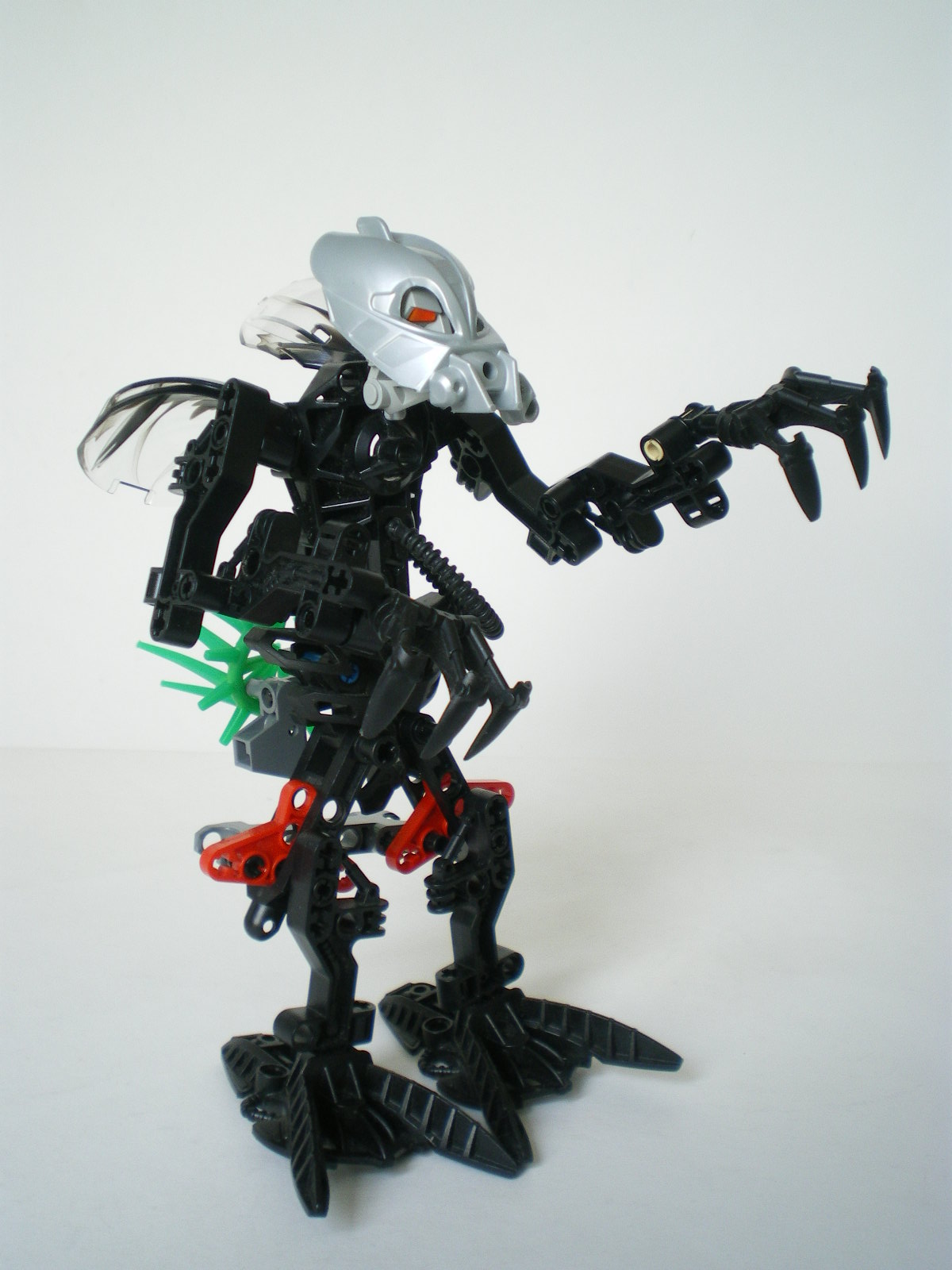 imgp4513.jpg