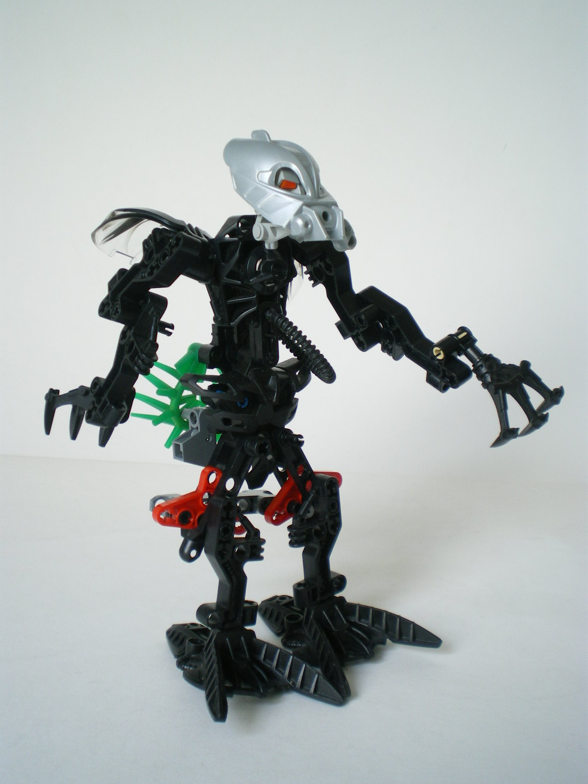 imgp4517.jpg