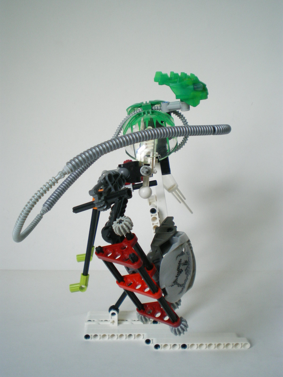 imgp4524.jpg