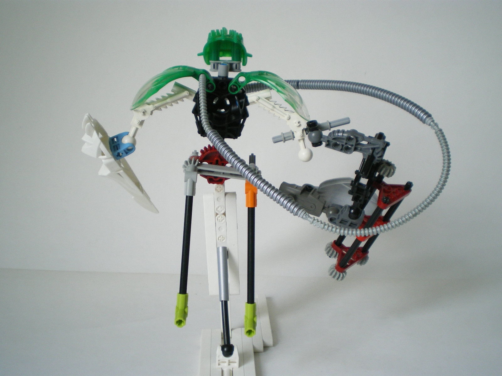 imgp4526.jpg