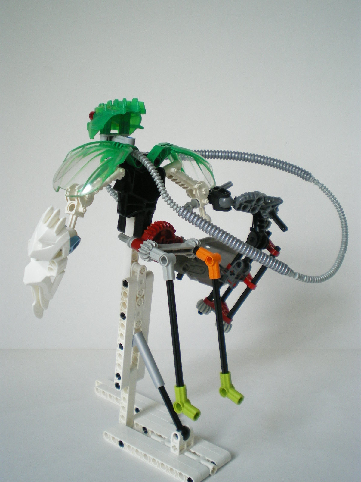 imgp4527.jpg