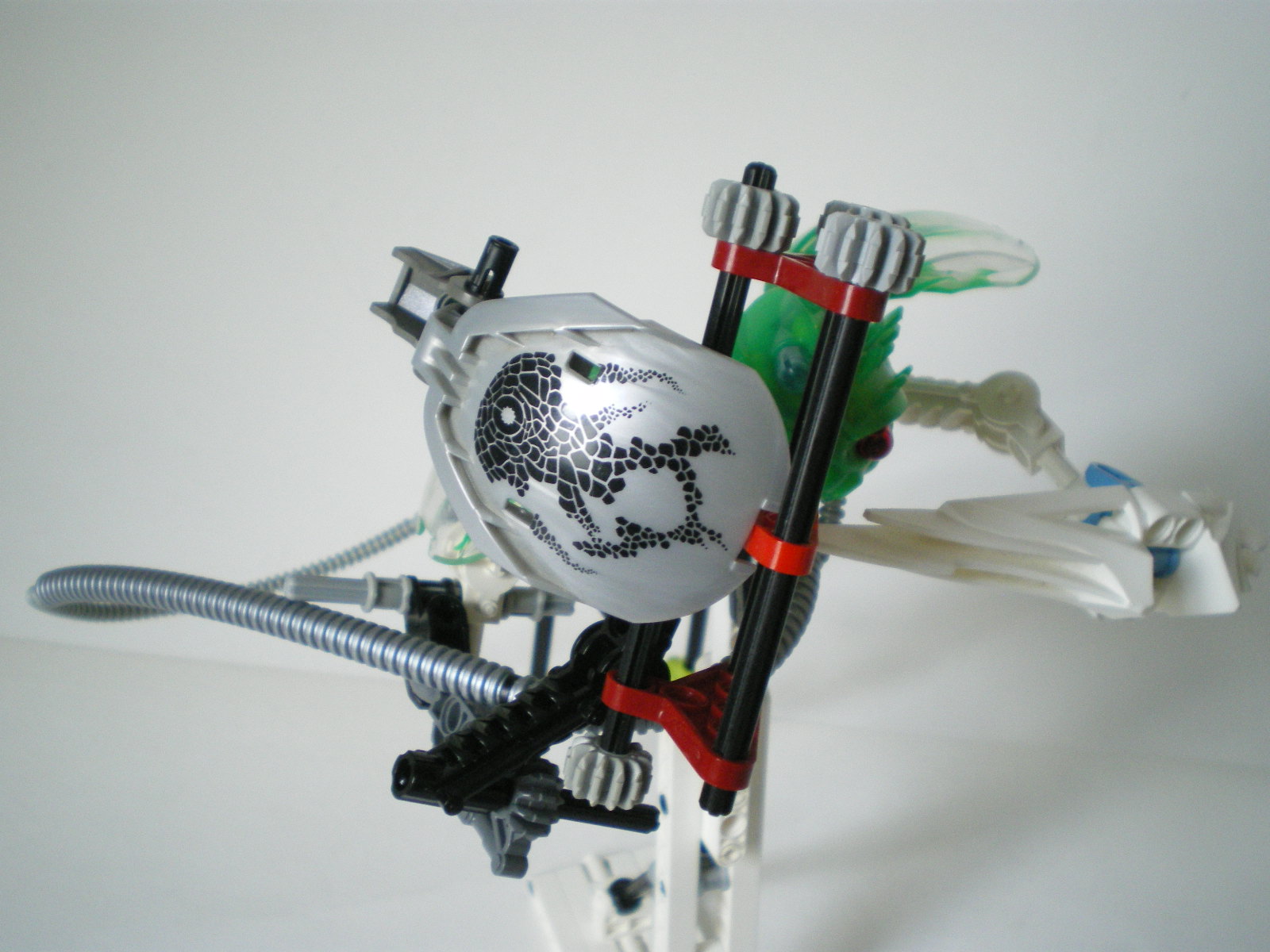 imgp4540.jpg