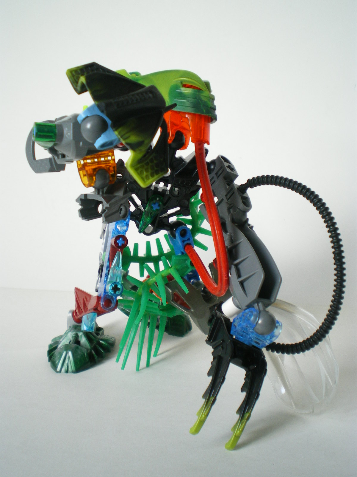 imgp4699.jpg