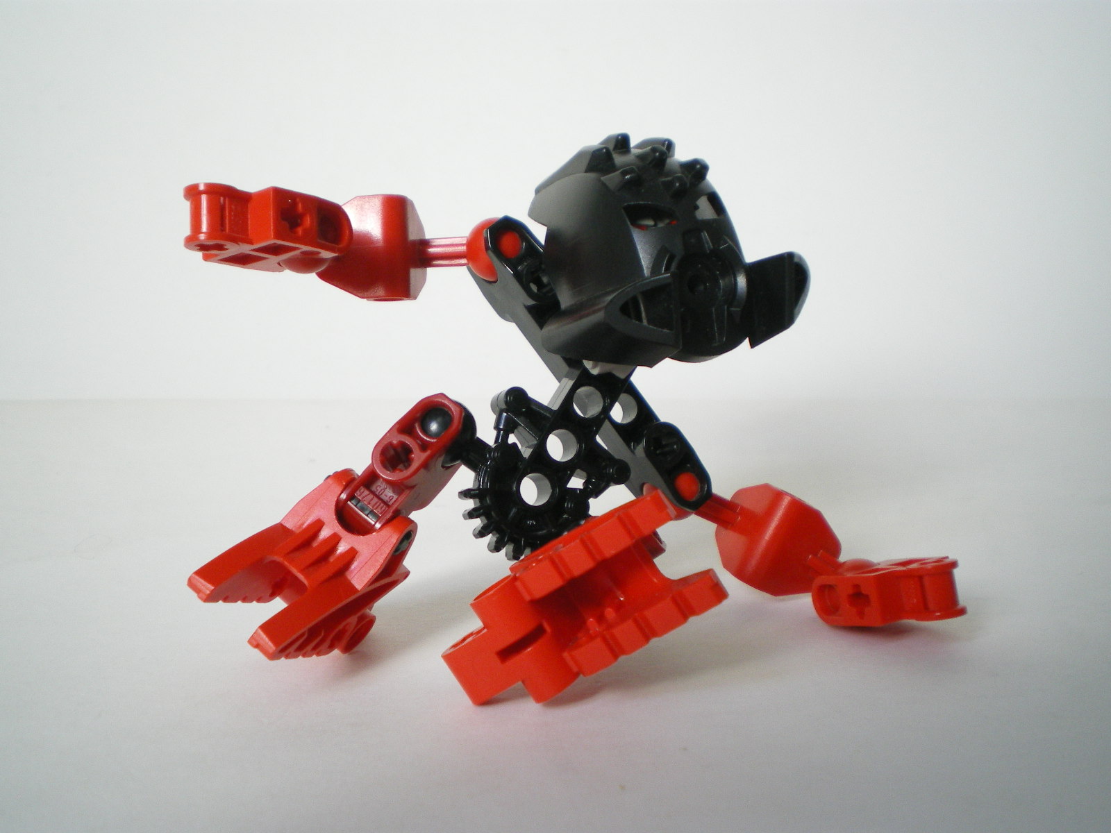 imgp4806.jpg