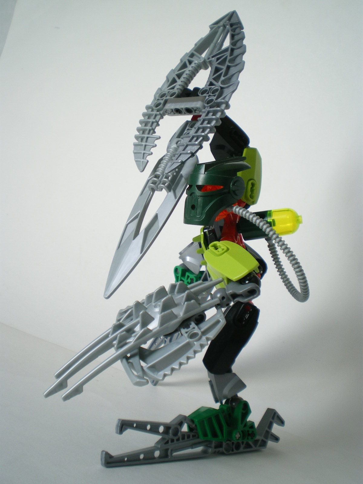 imgp5008.jpg