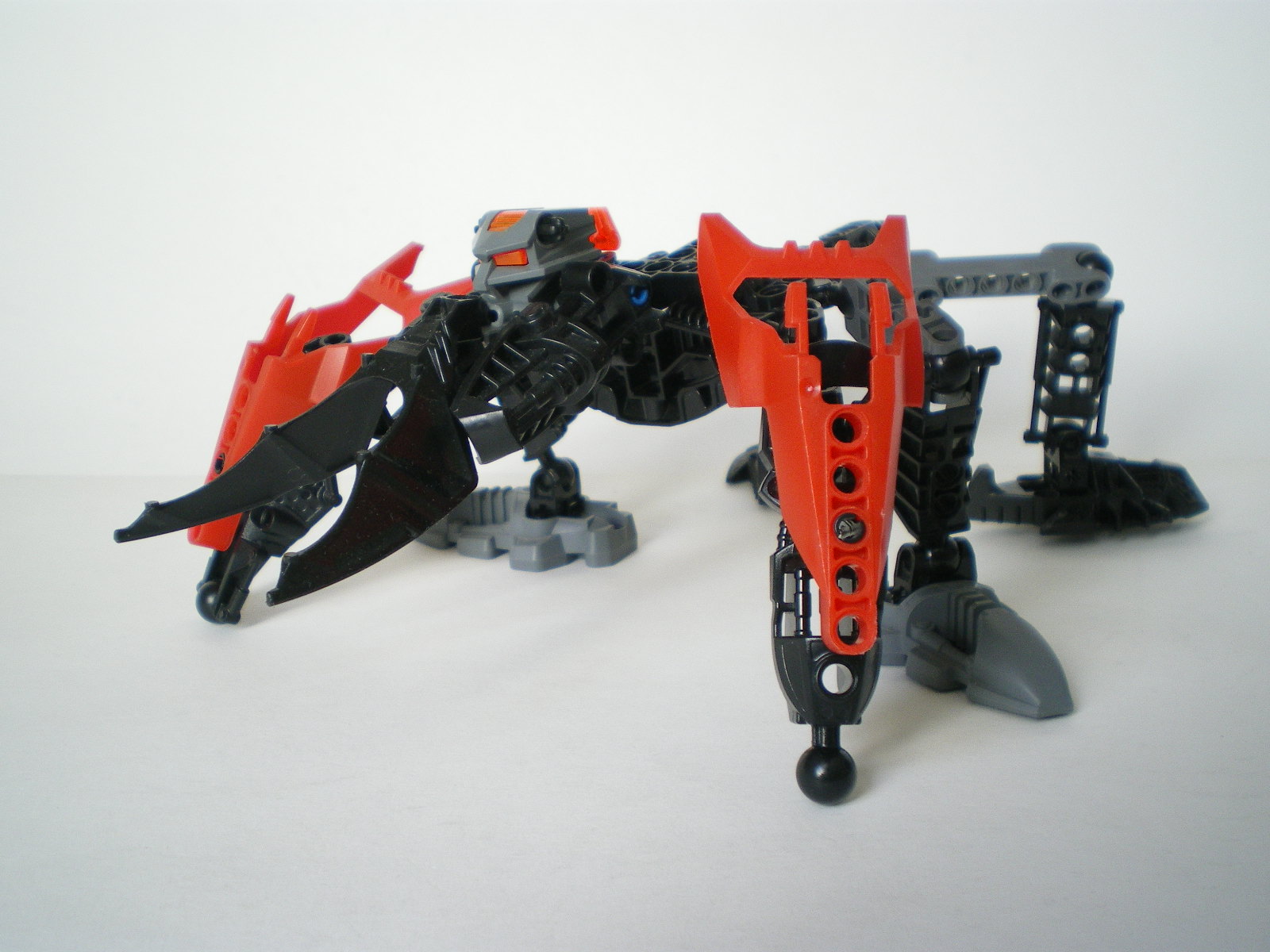imgp5046.jpg