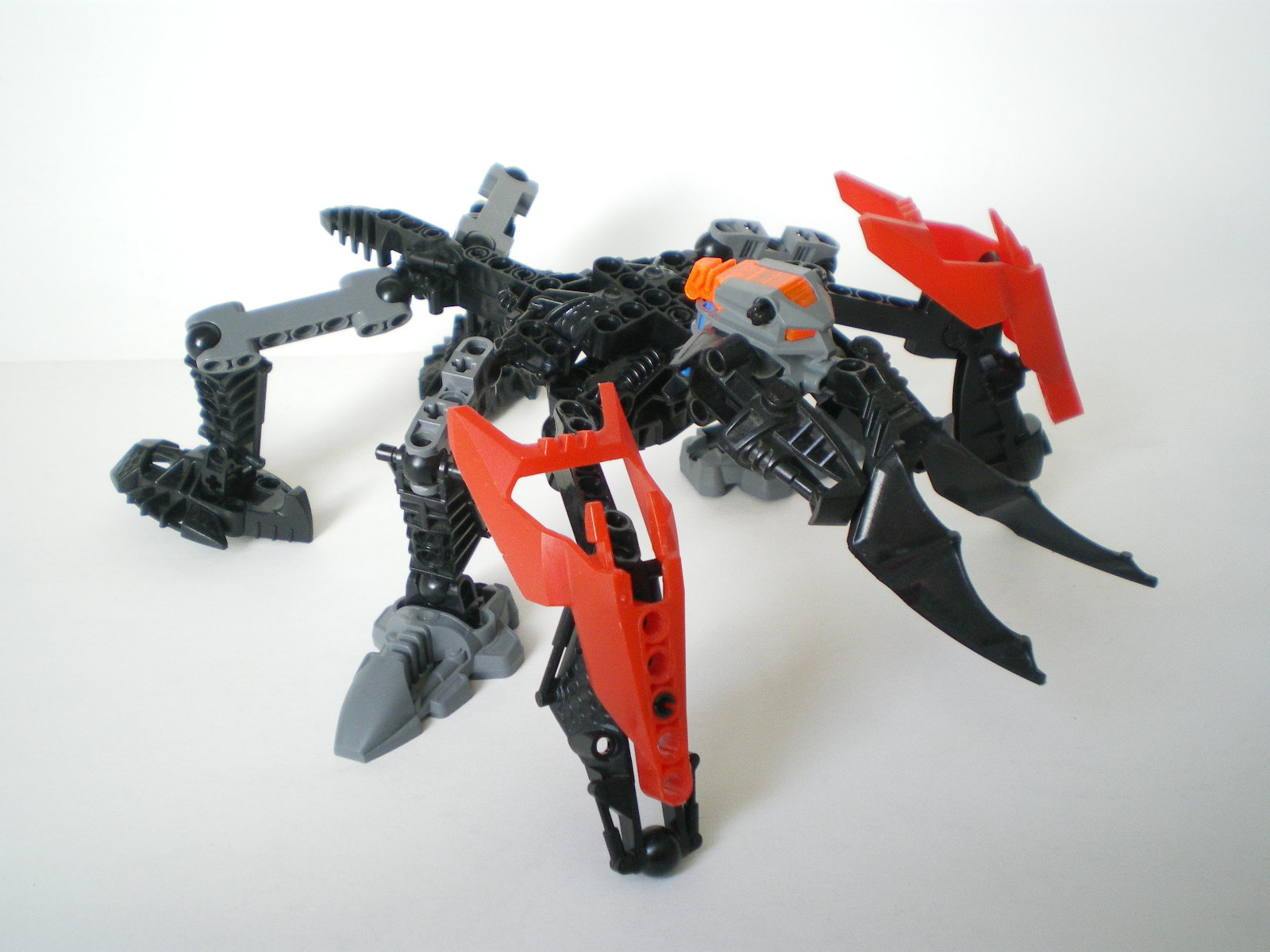 imgp5048.jpg