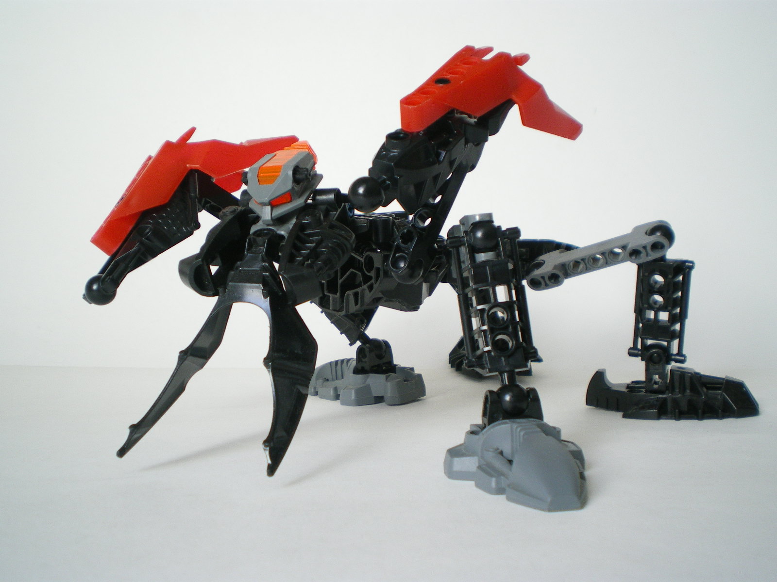 imgp5057.jpg