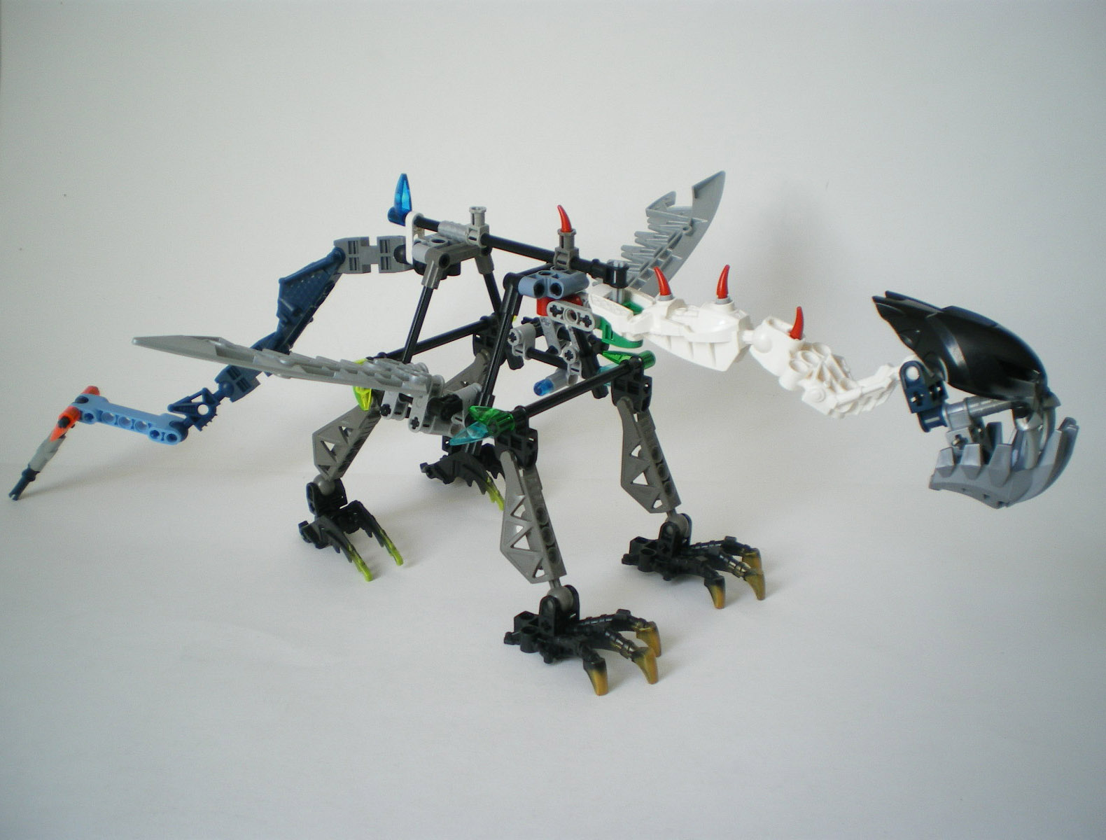 imgp5071.jpg