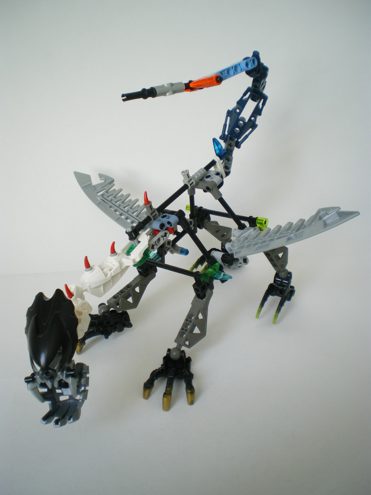 imgp5095.jpg