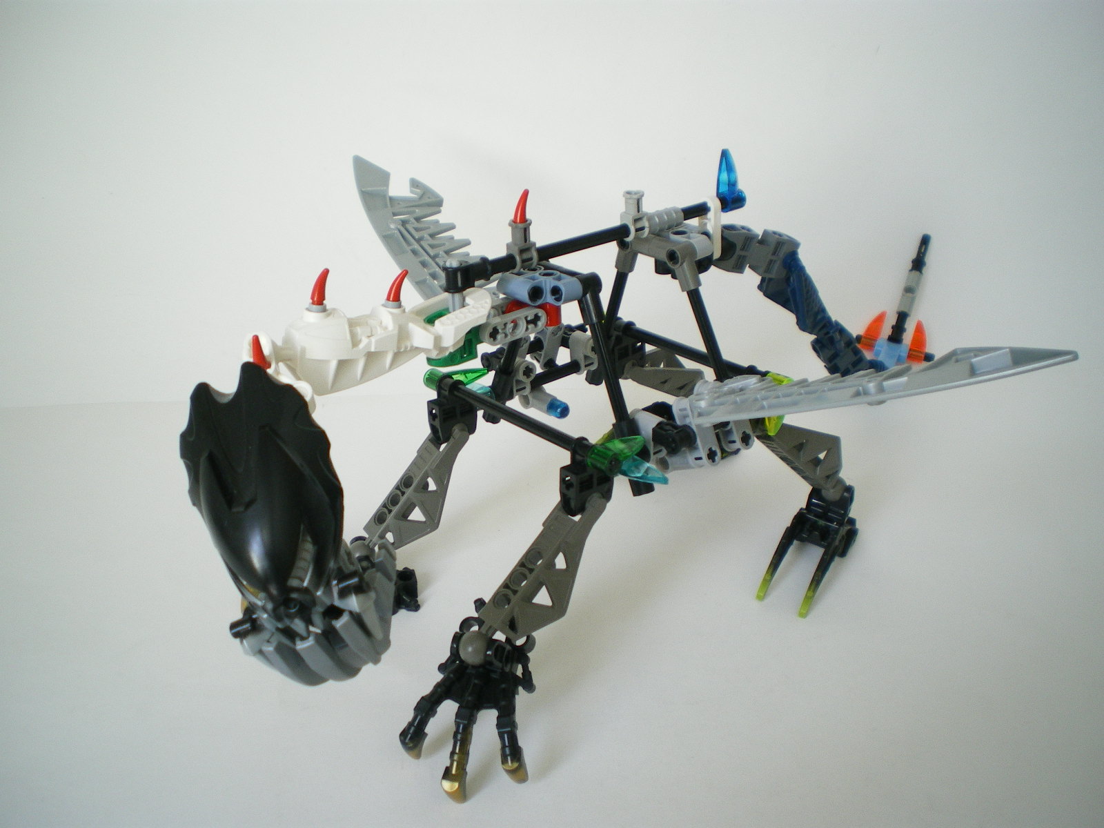 imgp5098.jpg