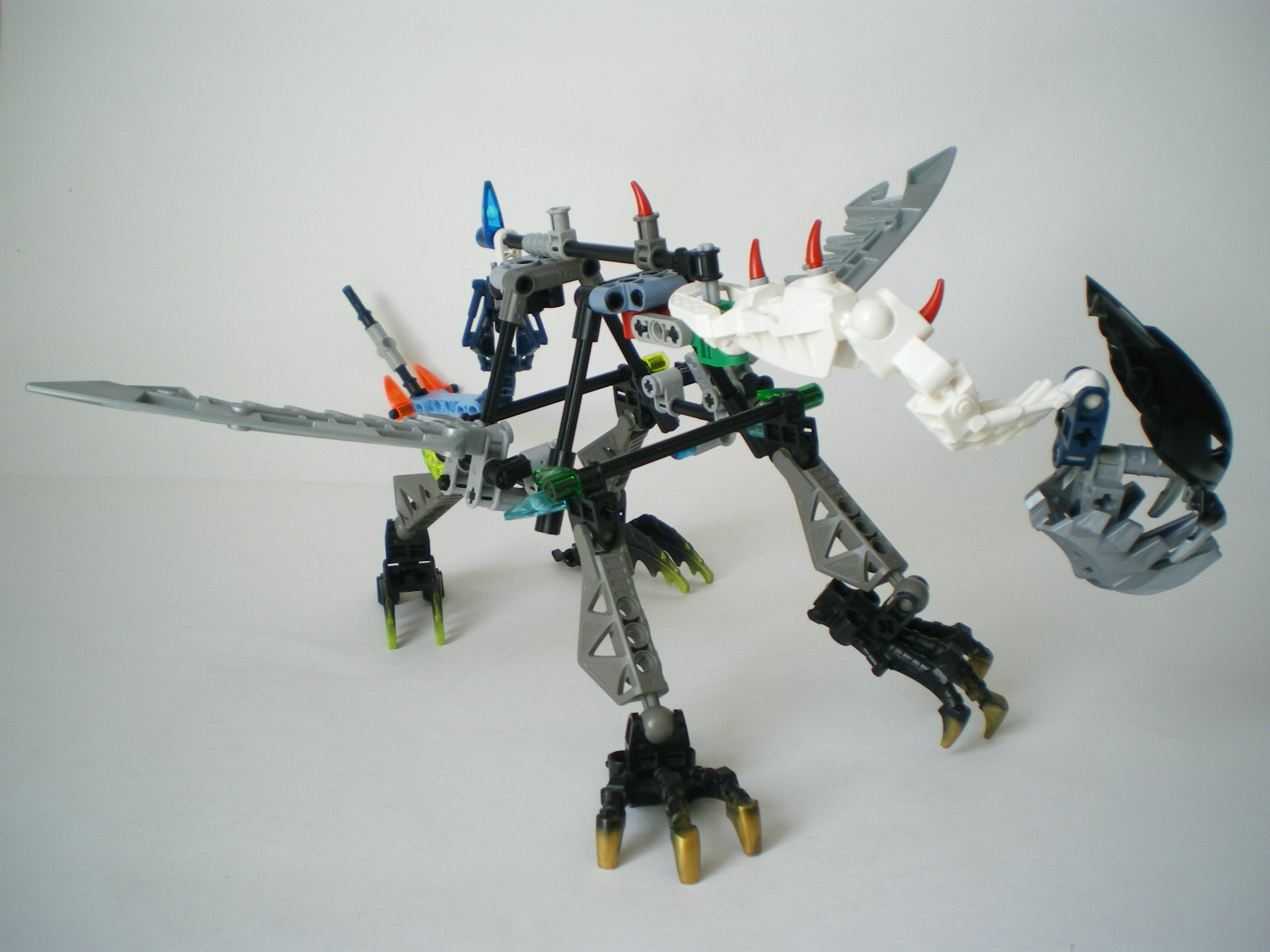 imgp5100.jpg