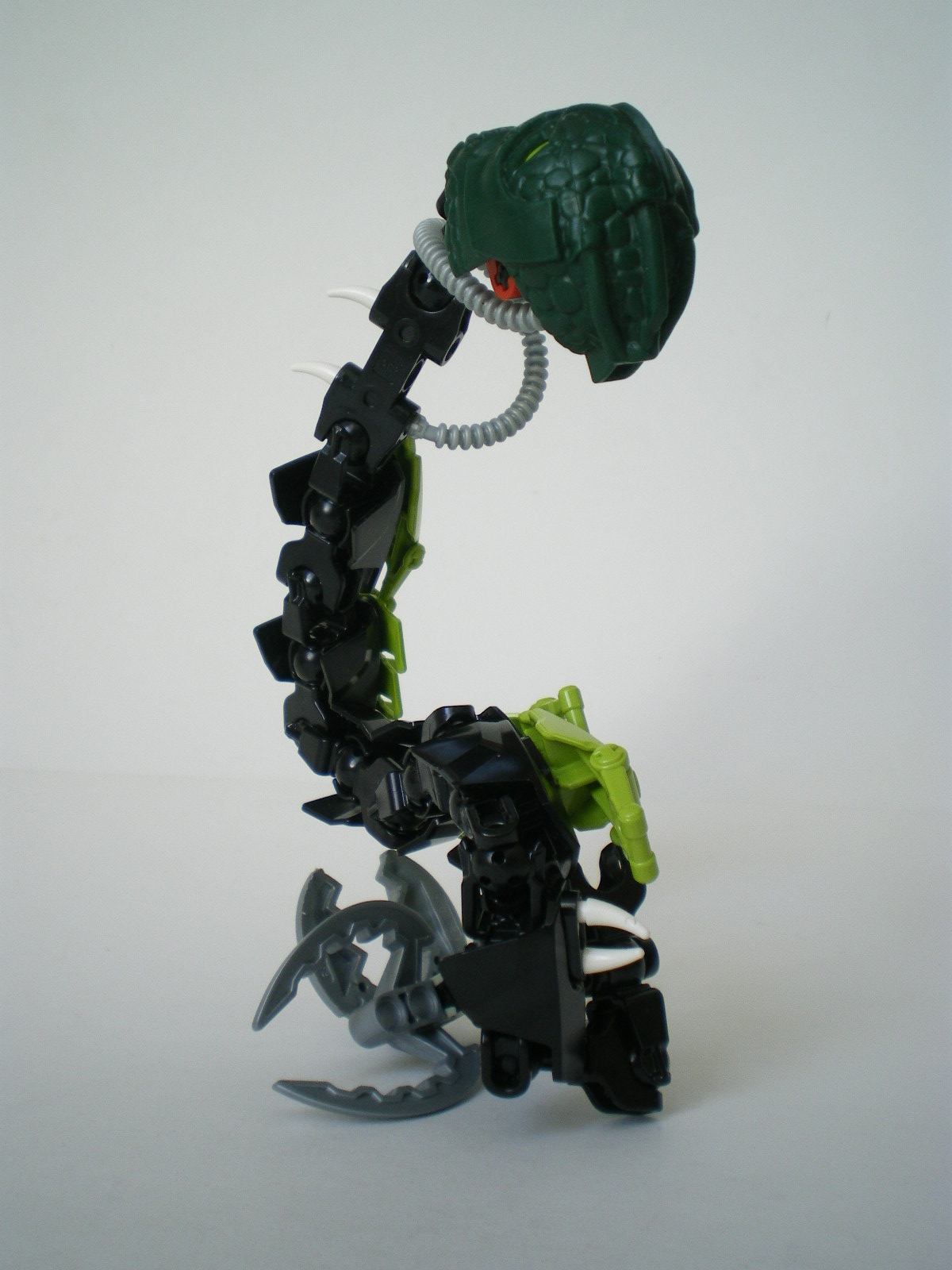 imgp5302.jpg
