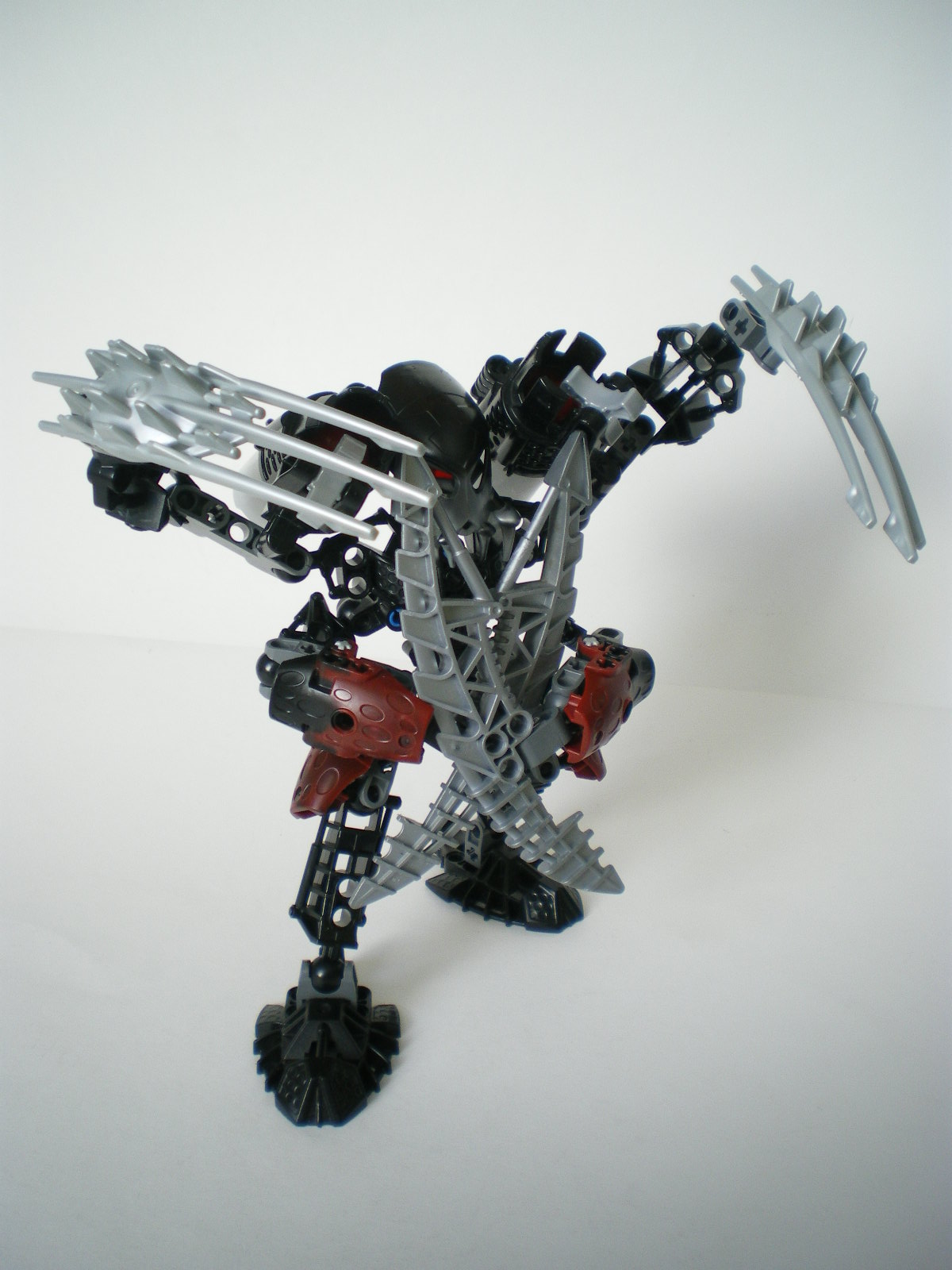 imgp5354.jpg