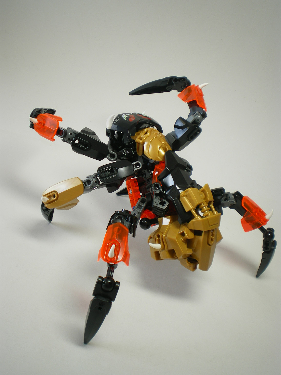 imgp0929.jpg