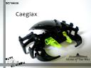 uscra_126_caegiax.jpg