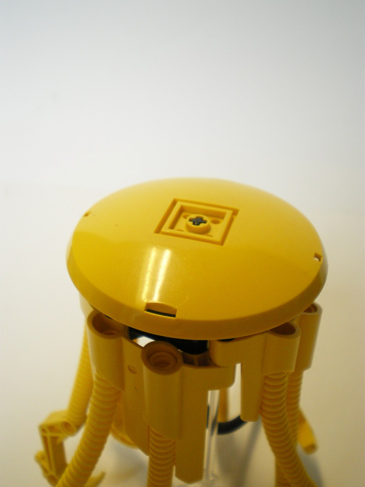 imgp6211.jpg