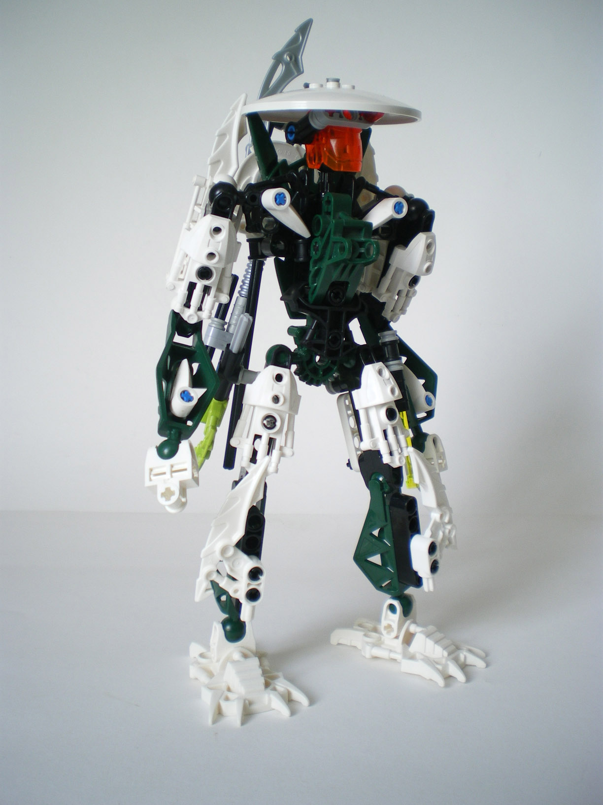 imgp8266.jpg