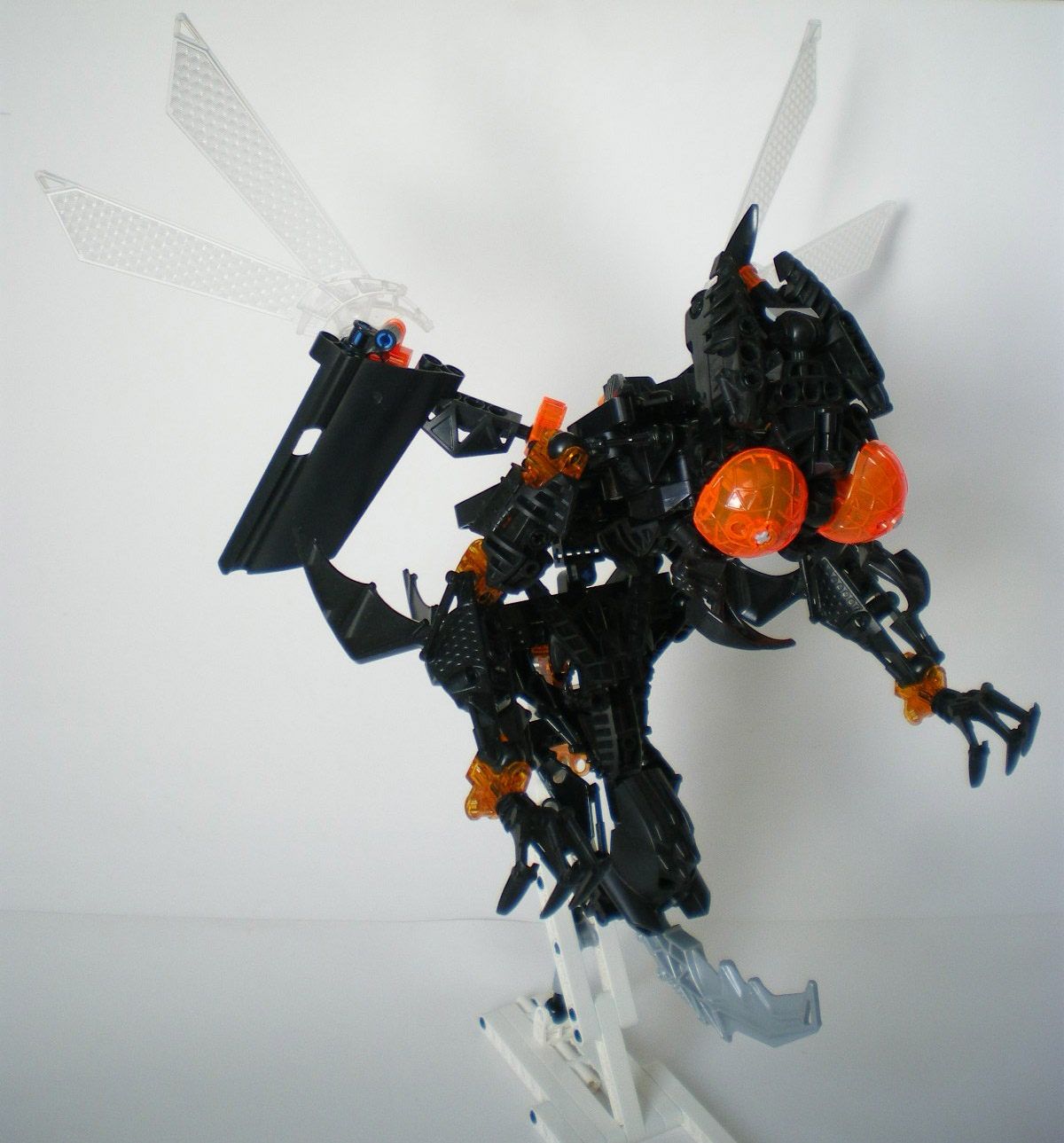 imgp5500.jpg