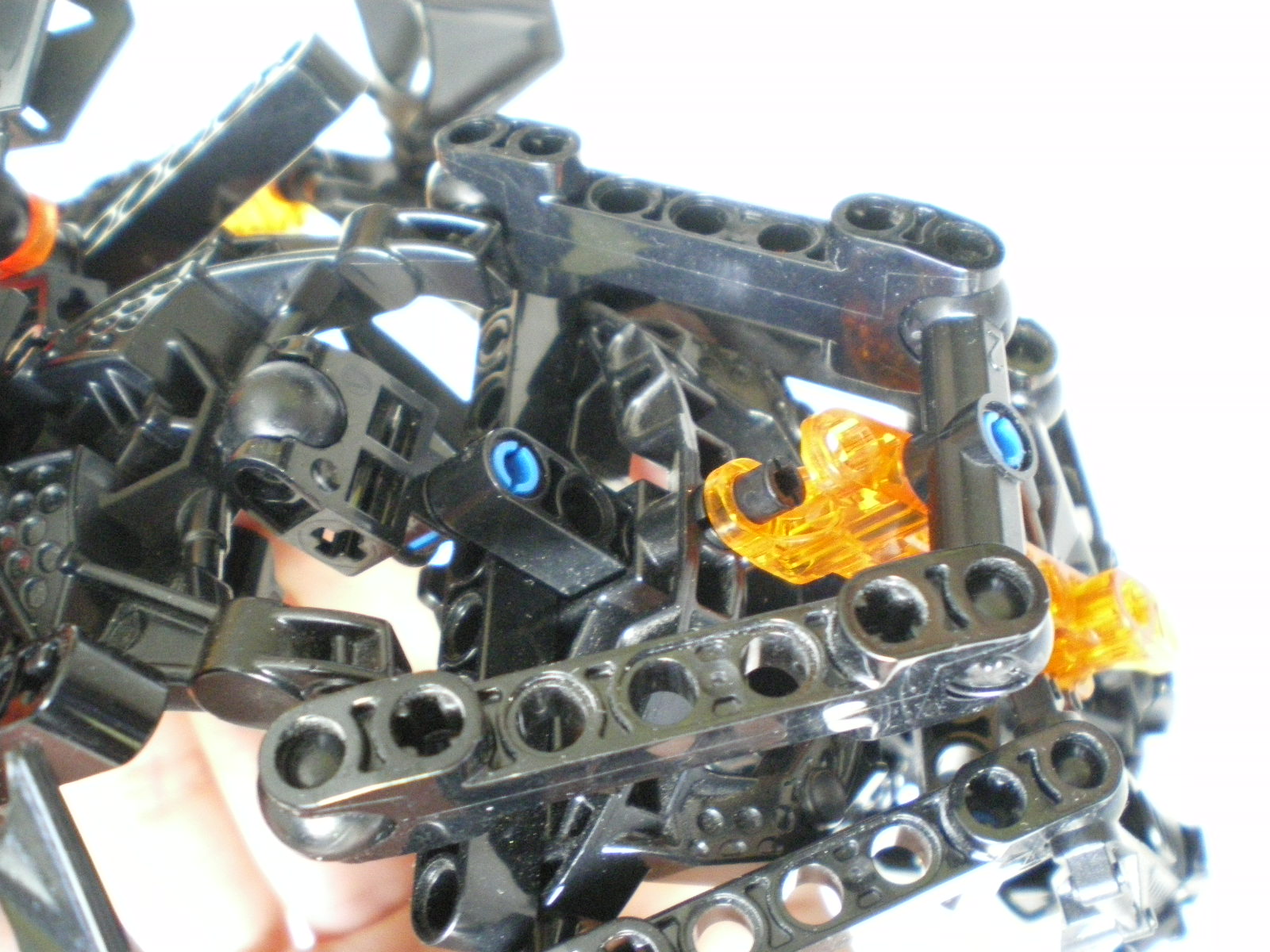 imgp5503.jpg