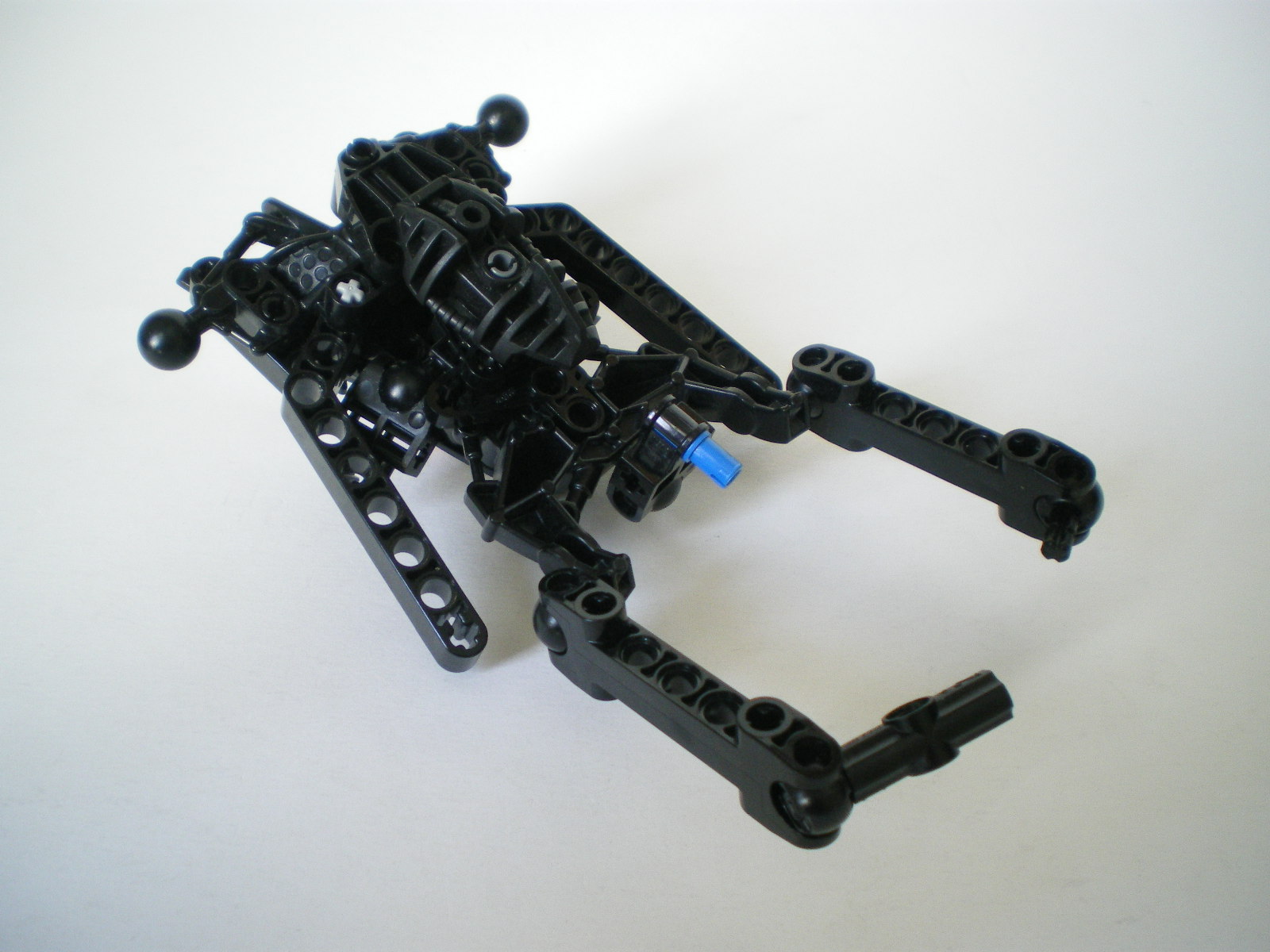 imgp5506.jpg