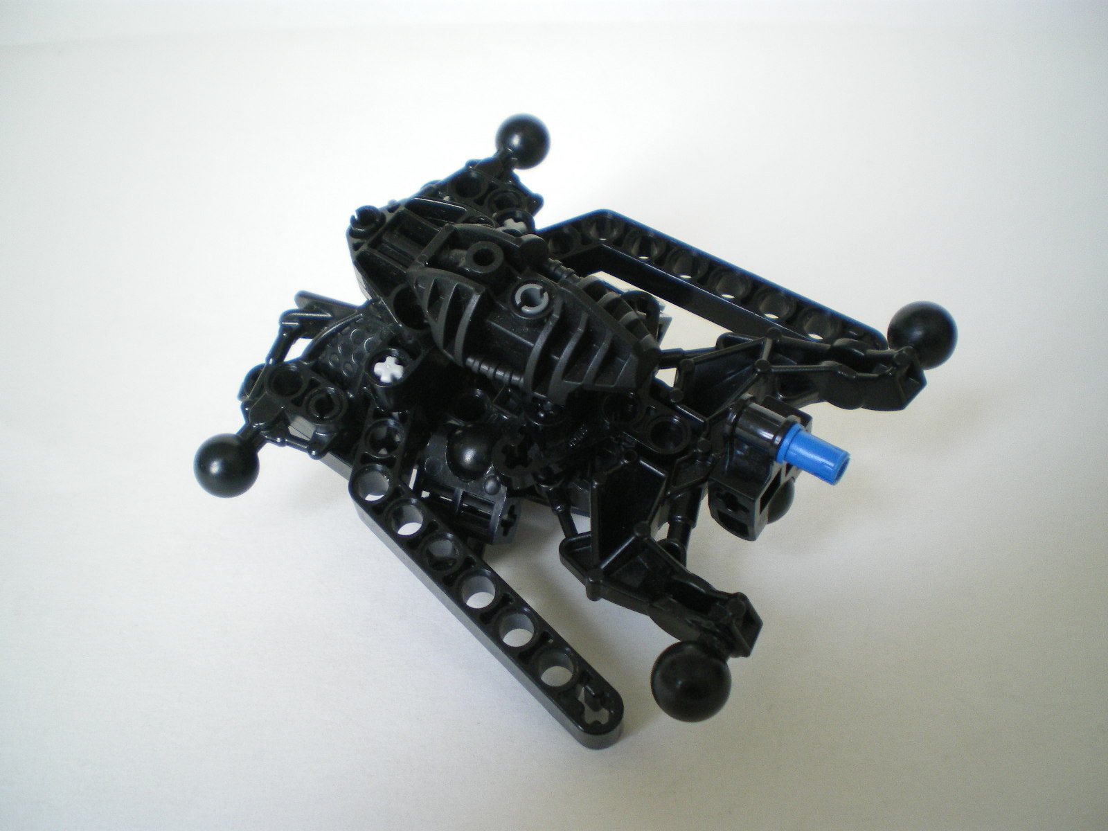 imgp5508.jpg
