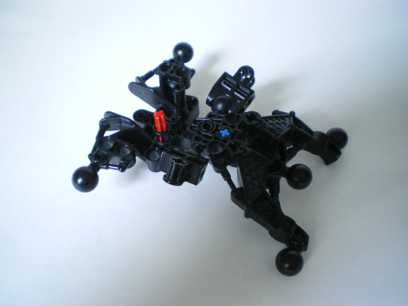 imgp5522.jpg